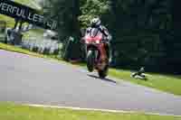 July 2024 No Limits Trackday Galleries